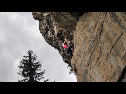 მარიანა იოსელიანი - ევროპის ერთადერთი პრიზიორი მეკლდეურობაში საქართველოდან